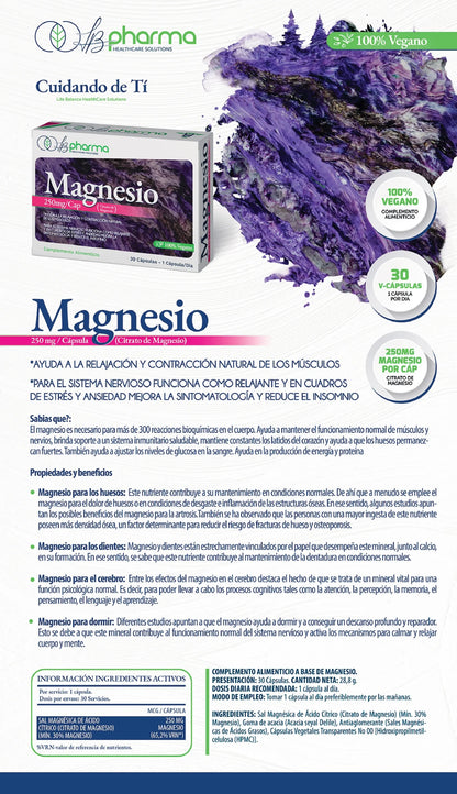 Magnesio LB Pharma