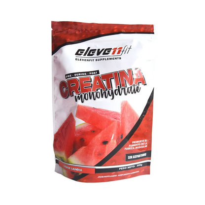 CREATINA MONOHIDRATADA 300 g